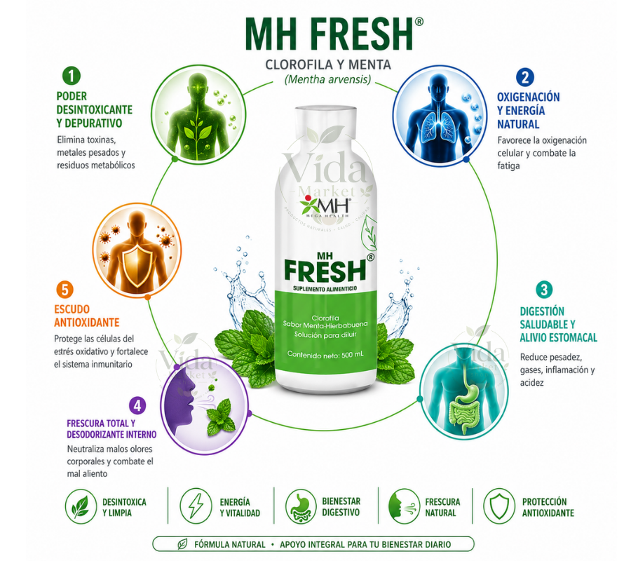 MH FRESH® | Clorofila y menta (Mentha arvensis)